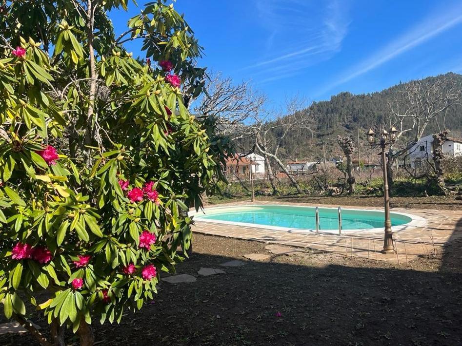 Casa Do Adro-Passadicos Do Paiva Arouca Villa Kültér fotó
